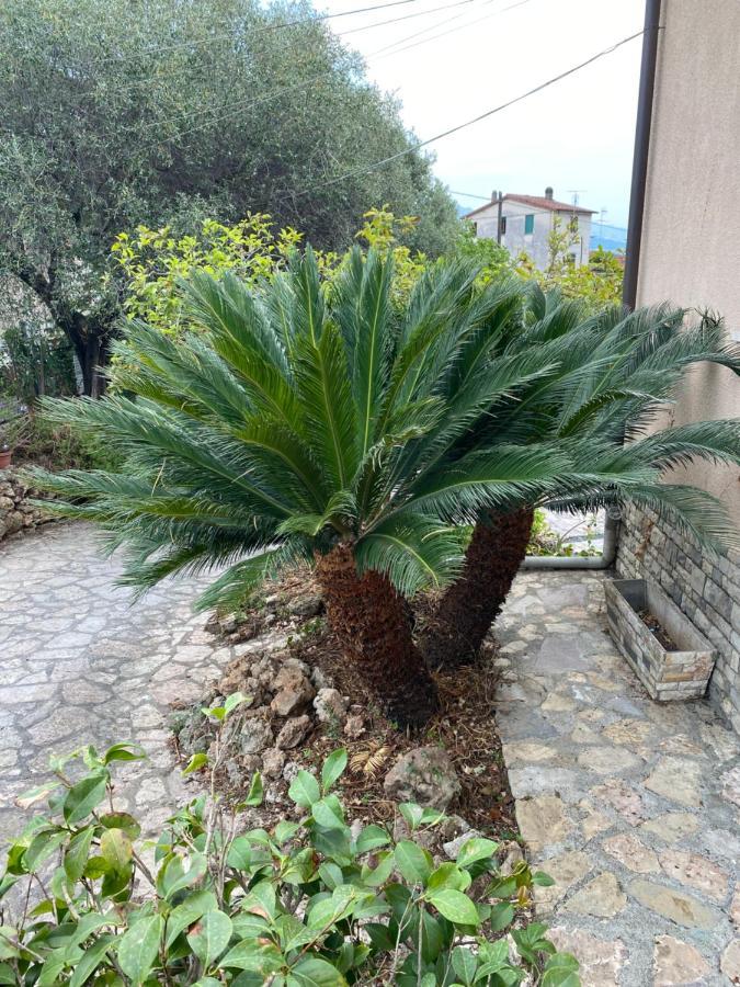 Il Giardino Delle Cycas Apartment Romito Magra Bagian luar foto